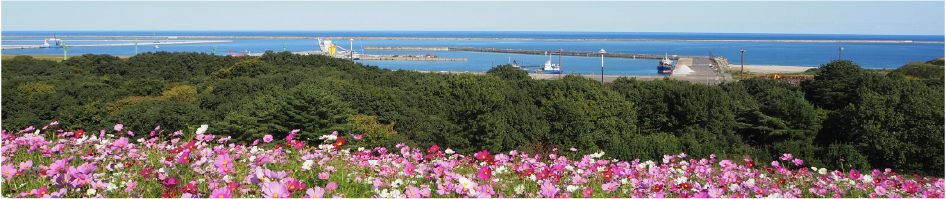 茨城県のトラック買取