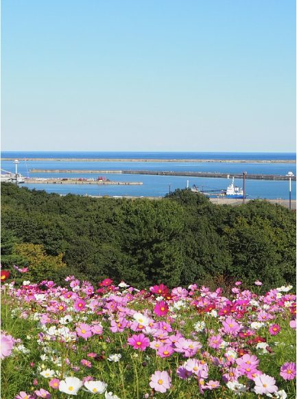 茨城県のトラック買取