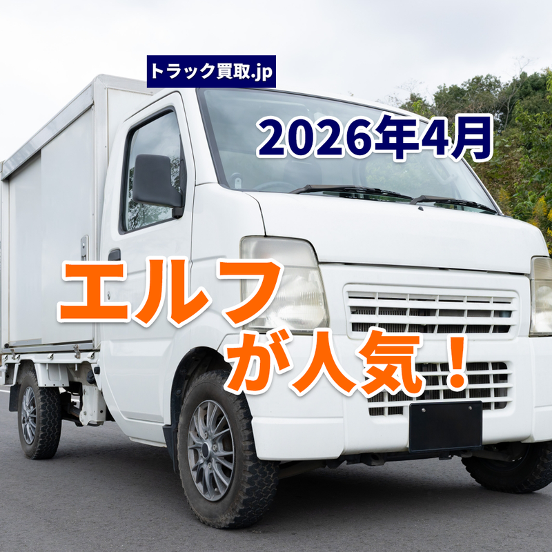 2026年4月 今人気のアルミバンは?エルフが強い理由